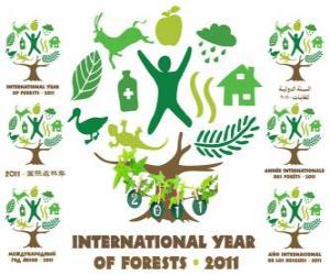 yapboz Ormanların 2011 Uluslararası Yer Yılı